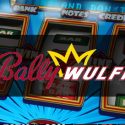 Bally Wulff Tricks für ideales Zocken im Netz